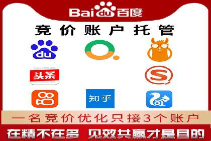 SEM托管成功案例：揭秘高效广告投放策略